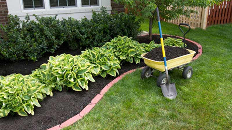 residential gardener home gardening
