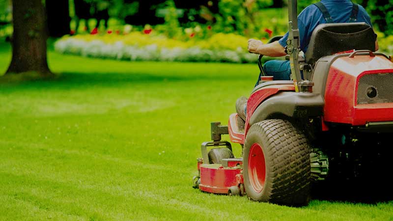 lawn maintenance commercial gardening